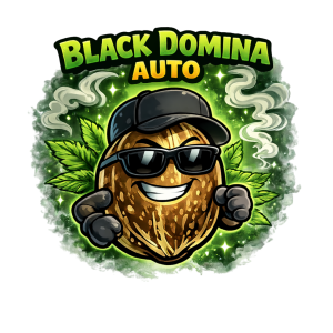 Black Domina Auto