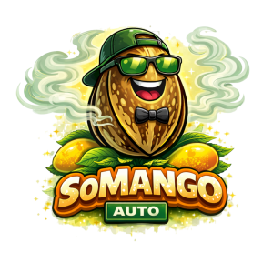 SoMango Auto