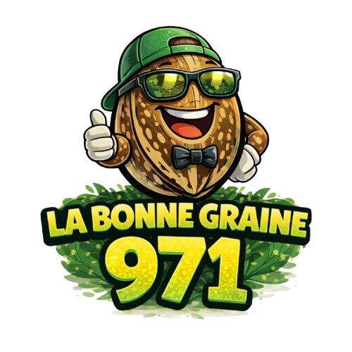 LaBonneGraine971